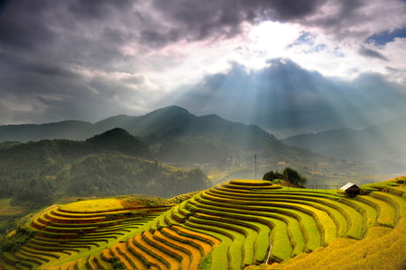 Du lịch Hà Giang - Hoàng Su Phì