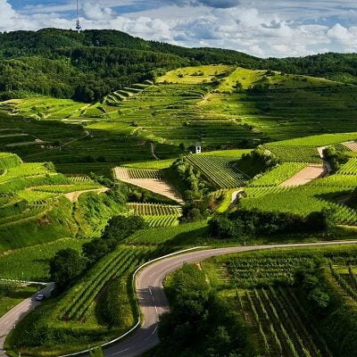 TOUR DU LỊCH MỘC CHÂU 2 NGÀY 1 ĐÊM