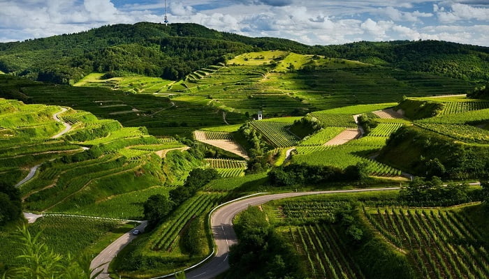 TOUR DU LỊCH MỘC CHÂU 2 NGÀY 1 ĐÊM