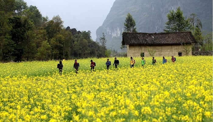 Tour Mộc Châu 2 ngày 1 đêm