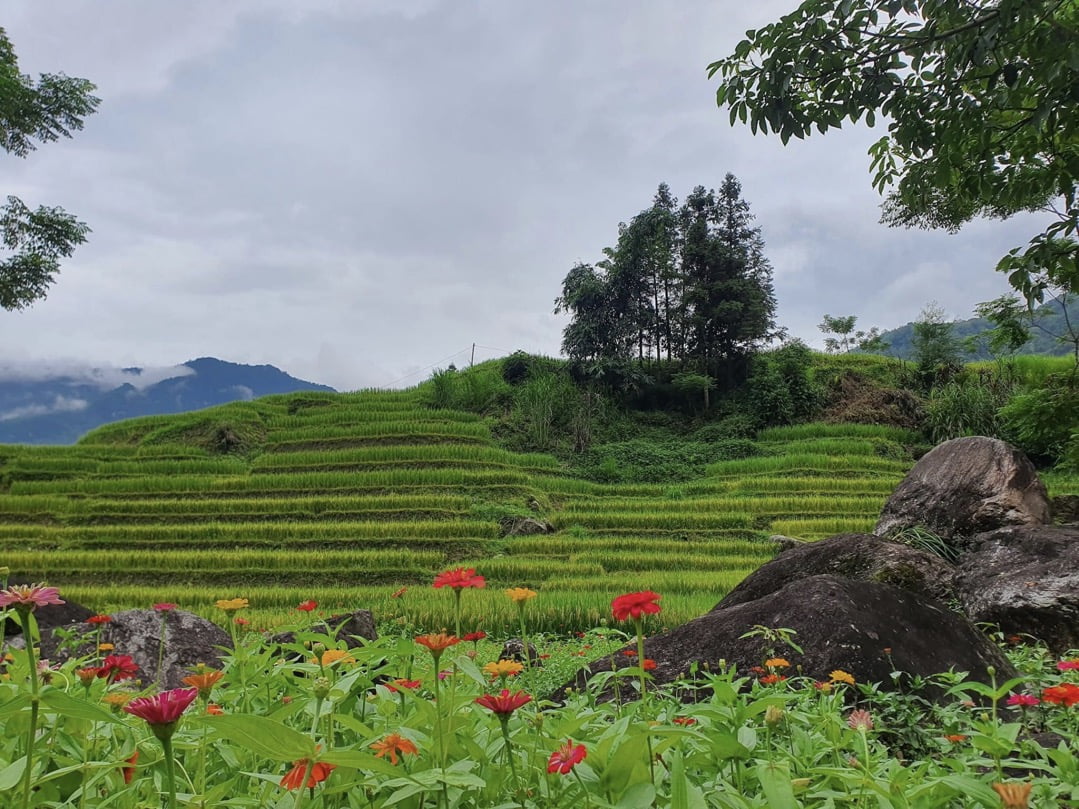 Tour Hà Giang